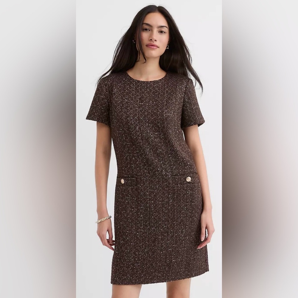 NWT LOFT Petite Shimmer Tweed Pocket Dress 12P